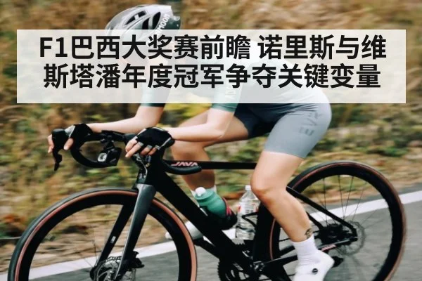 F1巴西大奖赛前瞻 诺里斯与维斯塔潘年度冠军争夺关键变量